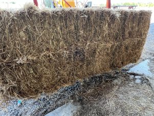 3X3X8 Straw Bales