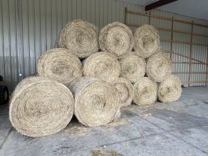 2026 Mixed Grass Hay, 4'X5' Net Wrapped Rolls